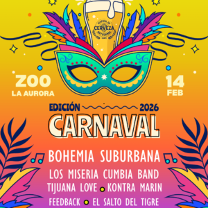 Entrada para concierto